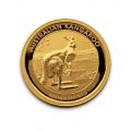 Australian Nugget 1/4 oz Gold Coin