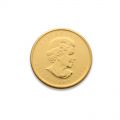 1/2 Ounce Gold Maple Leaf