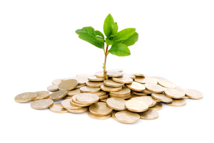 Carbon Neutral Company