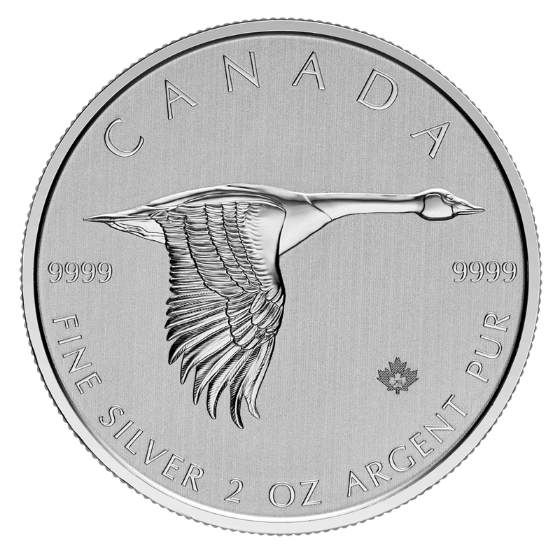 2020 Silver 2oz Canada Goose Coin