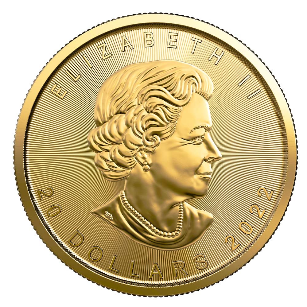 2022 1/2oz Maple Gold Coin | Royal Canadian Mint