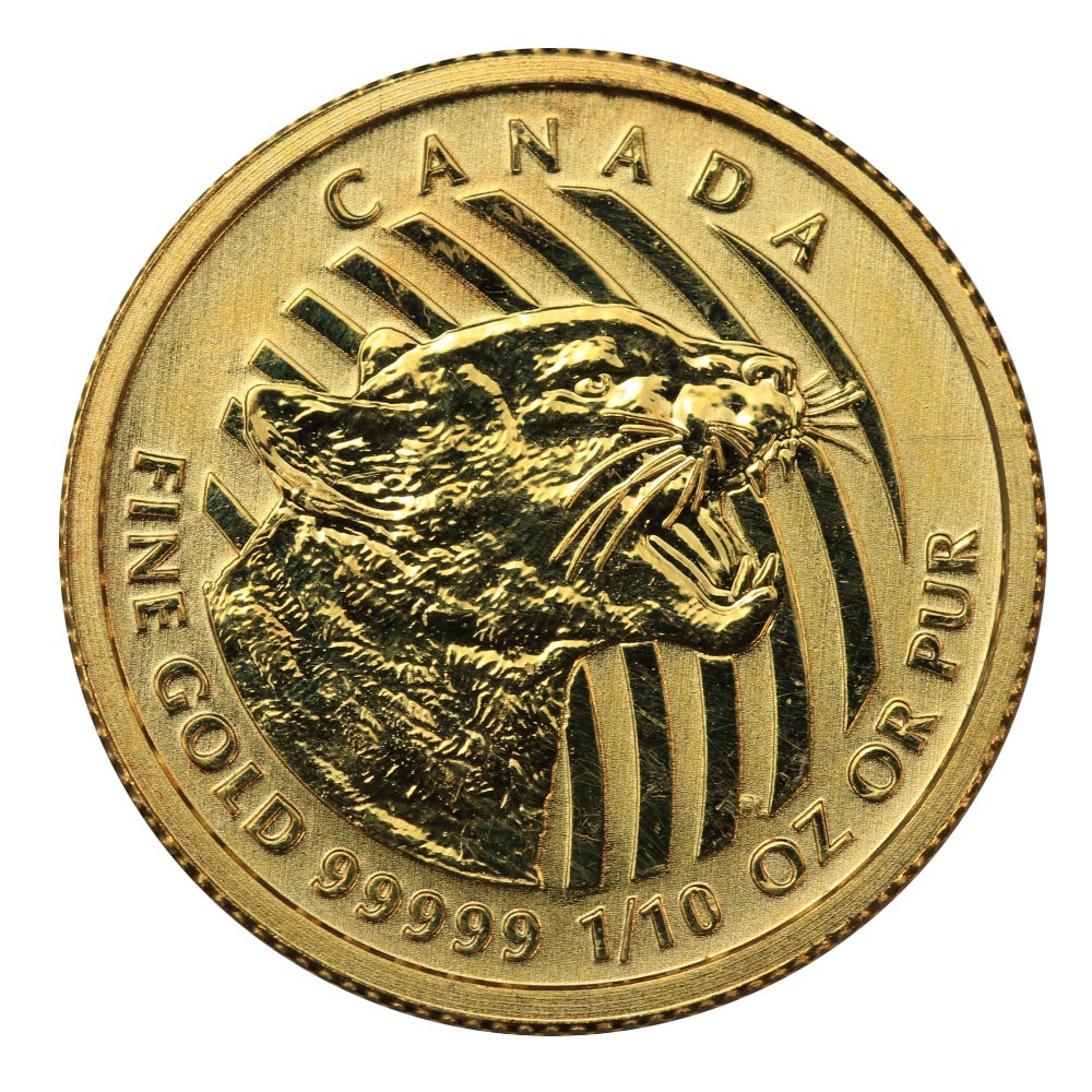 2016 1/10oz Growling Cougar Gold Coin In Assay Card I Royal Canadian Mint
