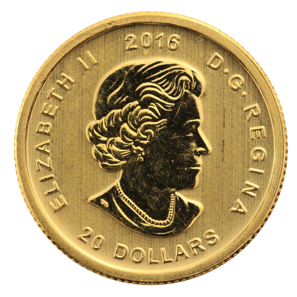 2016 1/10oz Growling Cougar Gold Coin In Assay Card I Royal Canadian Mint