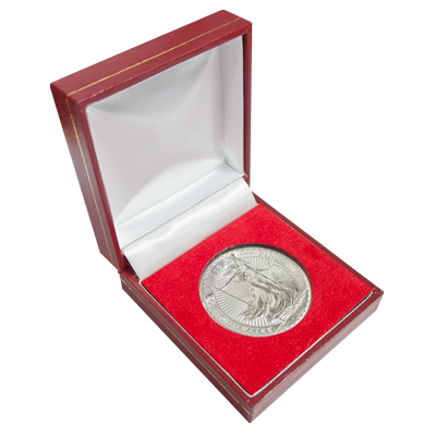 2017 Silver Britannia with Luxury Presentation Box