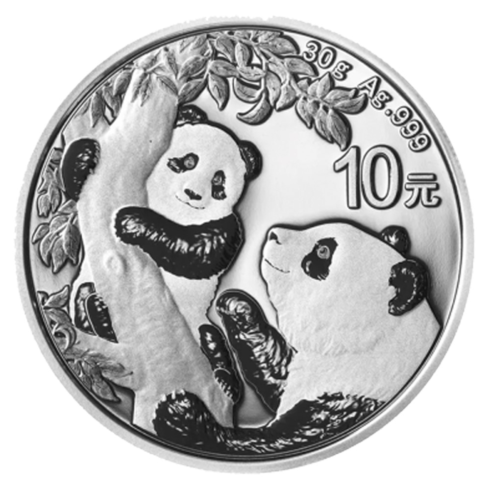 2021 30 Gram Chinese Panda Silver Coin