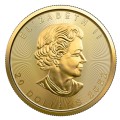2022 1/2oz Maple Gold Coin | Royal Canadian Mint