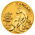 2023 1/2oz Gold Kangaroo Coin | Perth Mint 