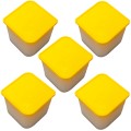 x5 Empty Tubes For 10 x 1oz Gold Britannia Coins