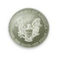 CLEARANCE - 20 x Silver American Eagle 1oz Coins
